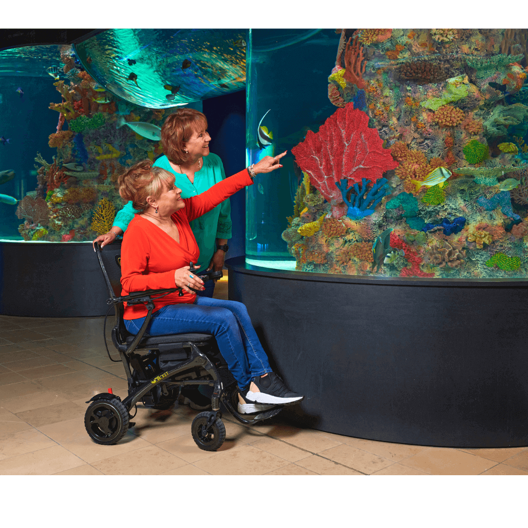 Carbon Fiber Cricket Power Wheelchair 2