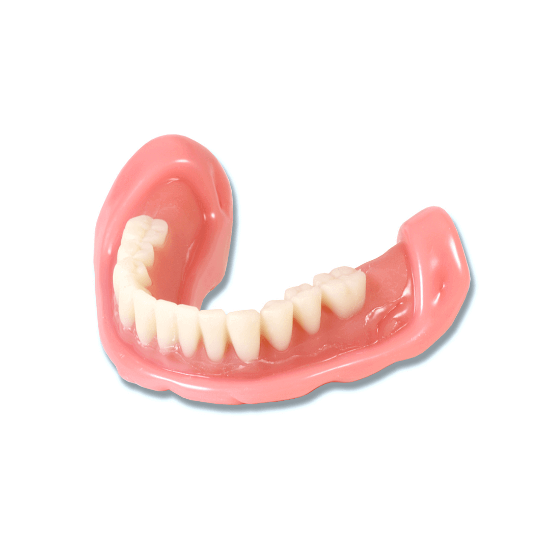 Easy Denture Self Fitting 2