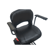 Golden Tech Buzzaround Carry-On Folding Travel Scooter with Travel Battery seat